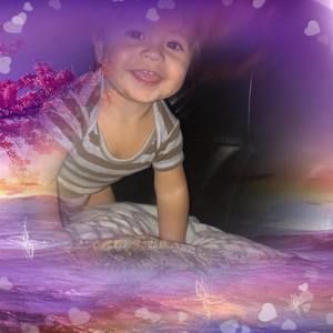 Meet your Posher, Norma